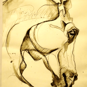 croquis cheval